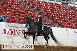 13buck_2284 proof