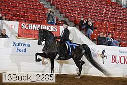 13buck_2285 proof