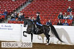 13buck_2286 proof
