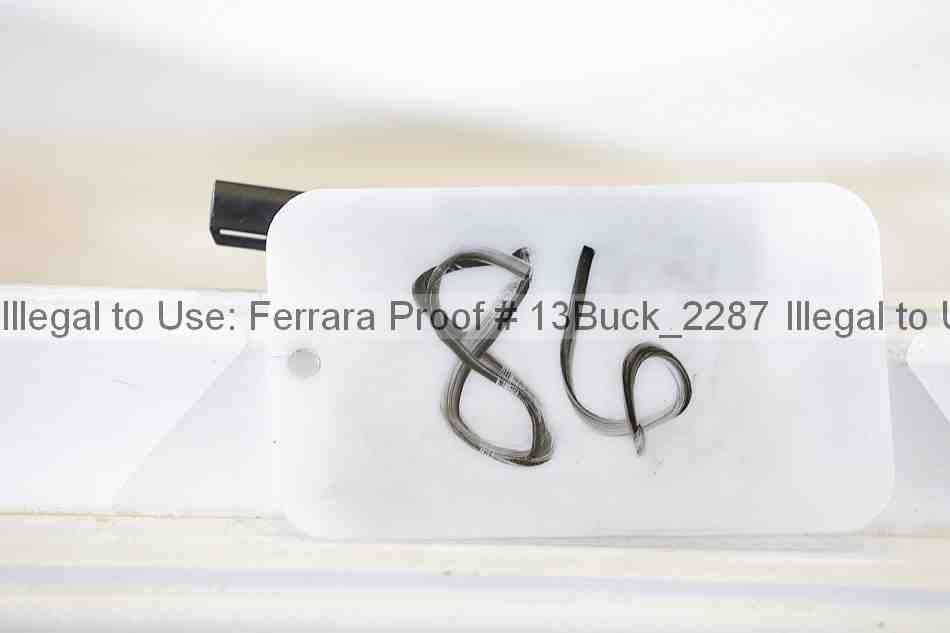 Proof 13buck_2287