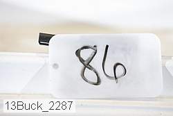 13buck_2287 proof