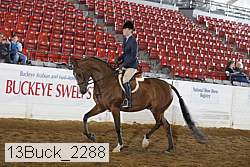 13buck_2288 proof