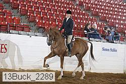 13buck_2289 proof