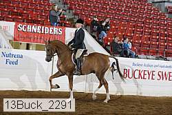 13buck_2291 proof