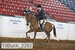 13buck_2292 proof