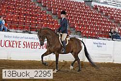 13buck_2295 proof