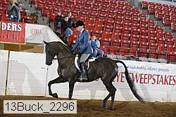 13buck_2296 proof