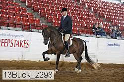 13buck_2298 proof