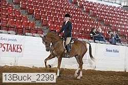 13buck_2299 proof