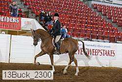 13buck_2300 proof