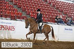 13buck_2302 proof