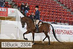 13buck_2304 proof