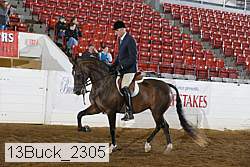 13buck_2305 proof