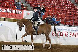 13buck_2309 proof