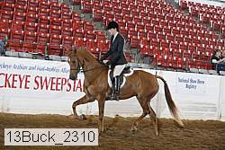 13buck_2310 proof
