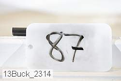 13buck_2314 proof