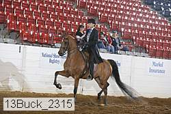 13buck_2315 proof
