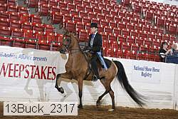 13buck_2317 proof