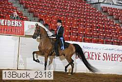 13buck_2318 proof