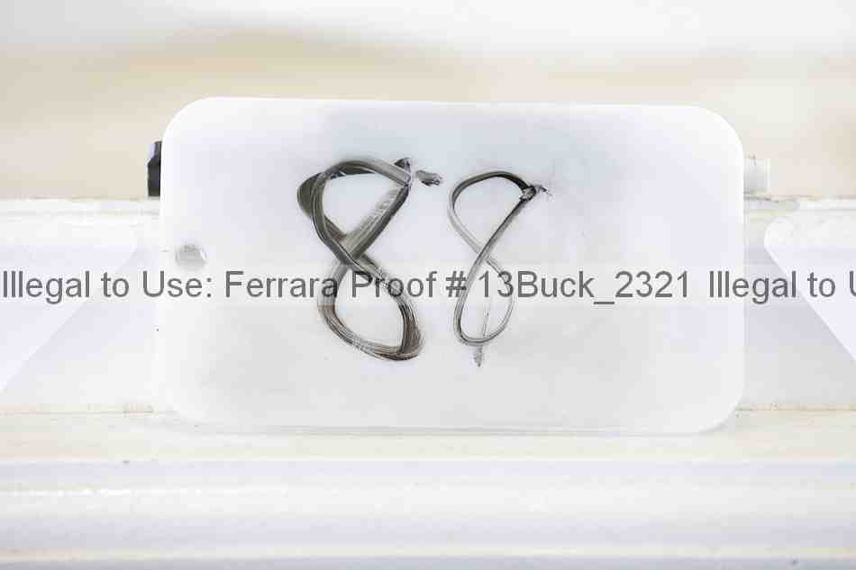 Proof 13buck_2321