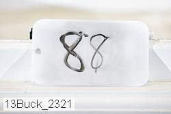 13buck_2321 proof