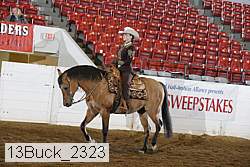13buck_2323 proof