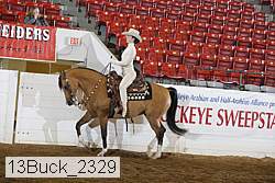13buck_2329 proof