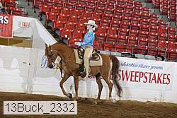 13buck_2332 proof