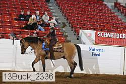 13buck_2336 proof