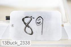 13buck_2338 proof