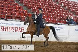 13buck_2341 proof