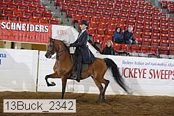13buck_2342 proof