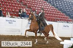 13buck_2344 proof