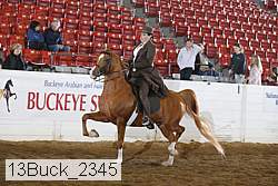13buck_2345 proof