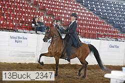 13buck_2347 proof
