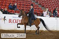 13buck_2348 proof