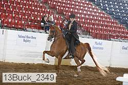 13buck_2349 proof