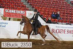13buck_2350 proof