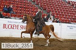 13buck_2351 proof