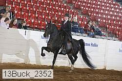 13buck_2352 proof