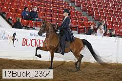 13buck_2354 proof