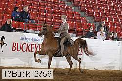 13buck_2356 proof