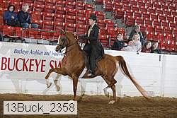 13buck_2358 proof
