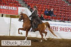 13buck_2359 proof