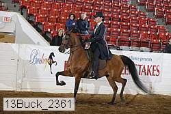 13buck_2361 proof