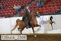 13buck_2364 proof