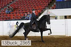 13buck_2365 proof