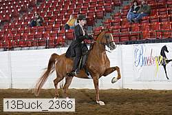 13buck_2366 proof