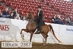 13buck_2367 proof