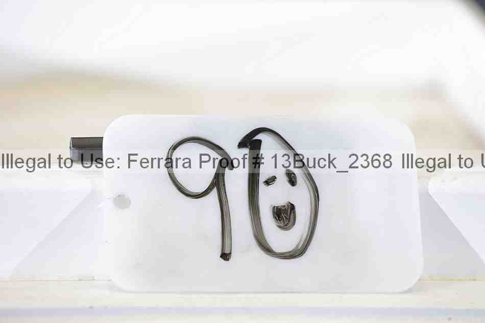 Proof 13buck_2368
